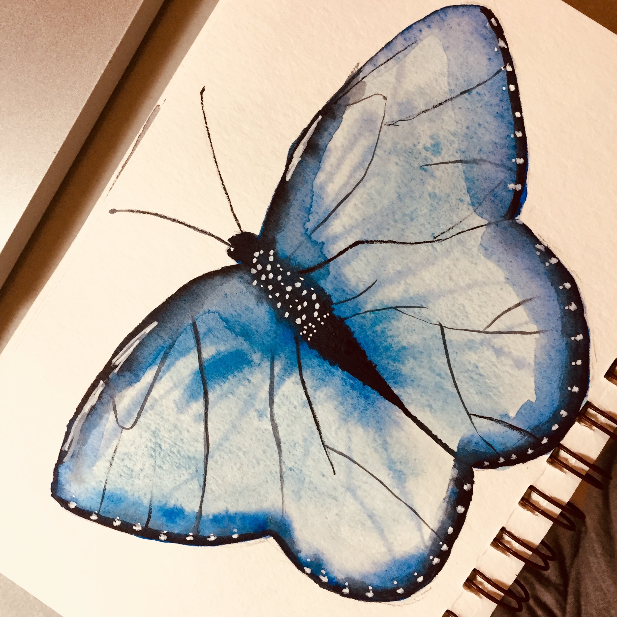 Blue Butterfly - student project