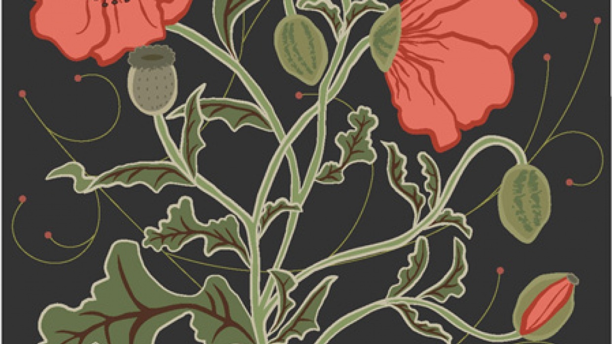 Poppies - student project