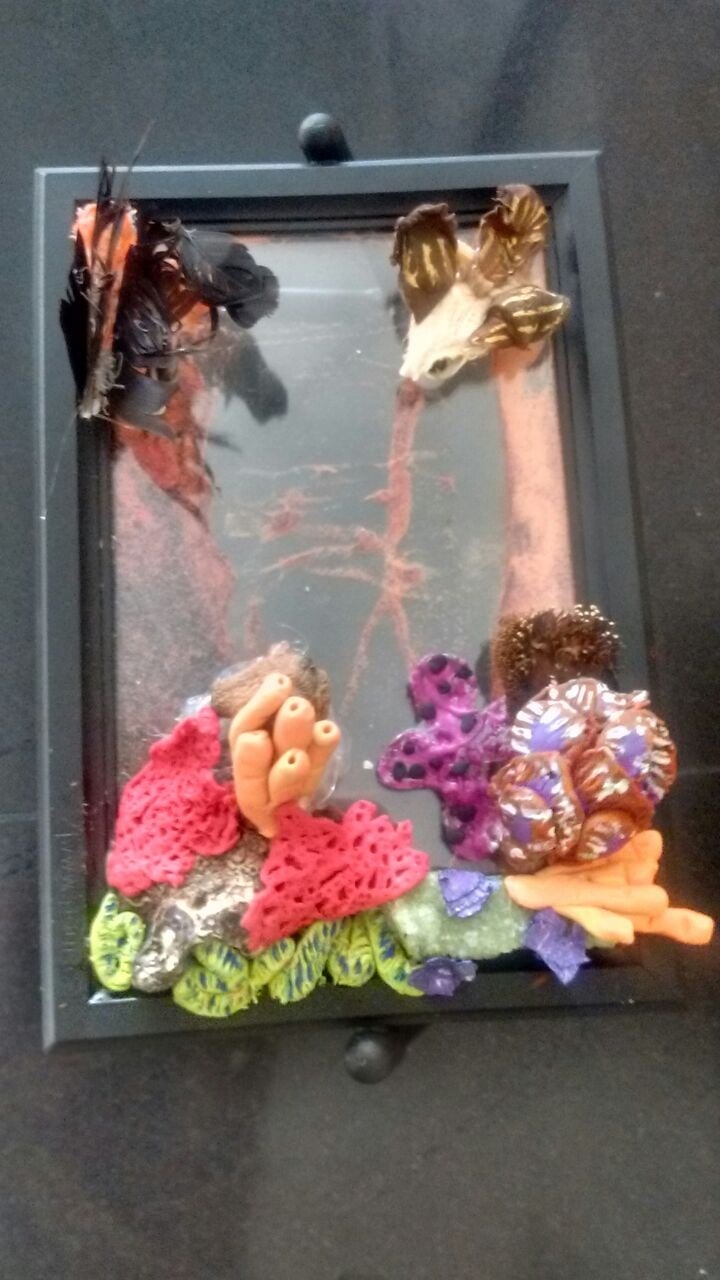 Coral Reef Ecosystem based on Stefanie's lesson - student project