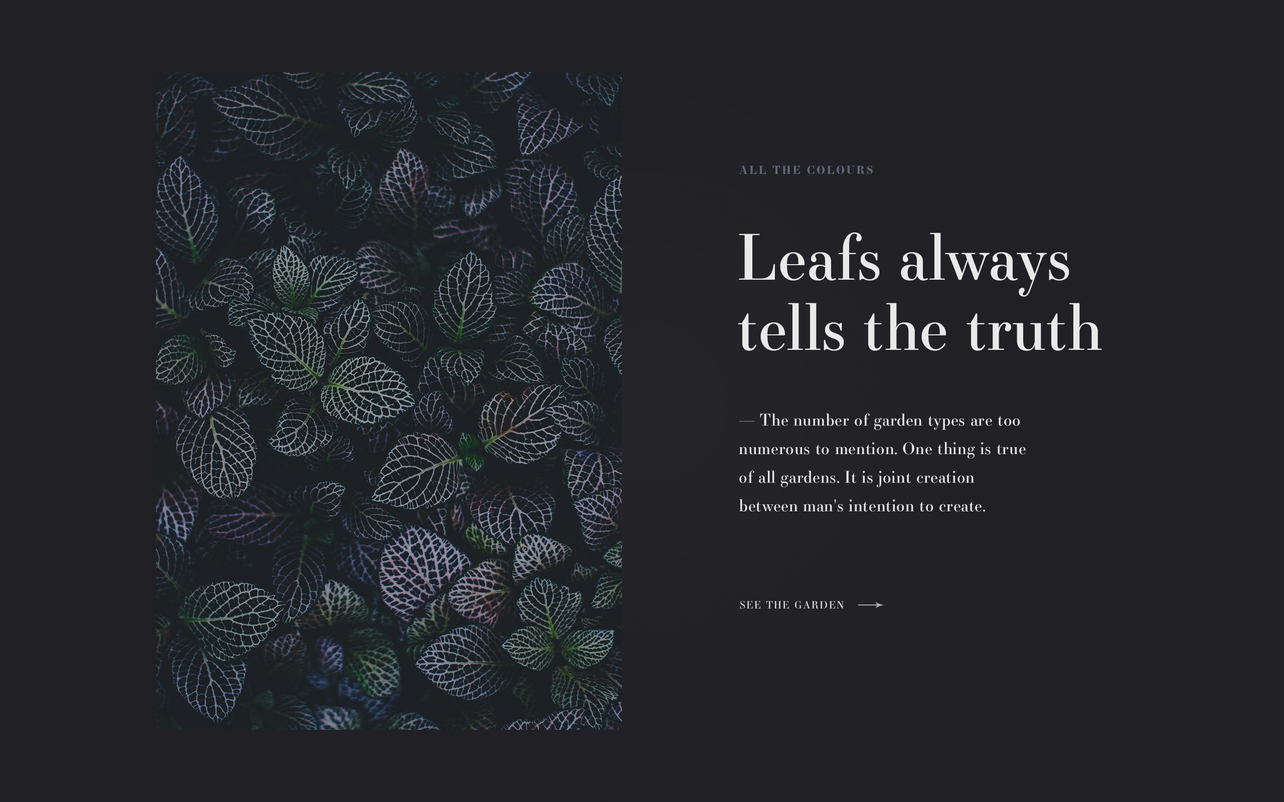Learning from Gil - student project