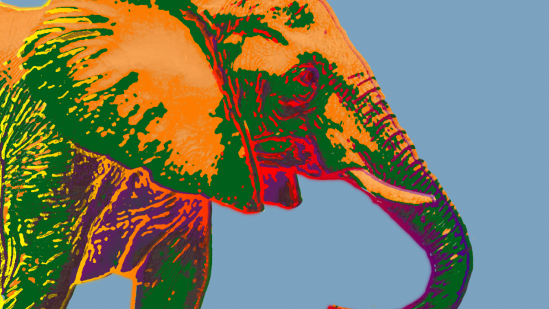 Elephant a la Andy Warhol