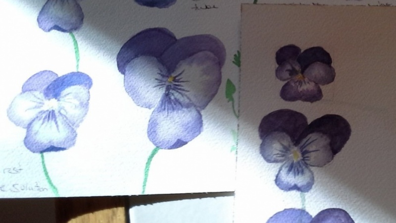 Not perfect but definately viola-like.