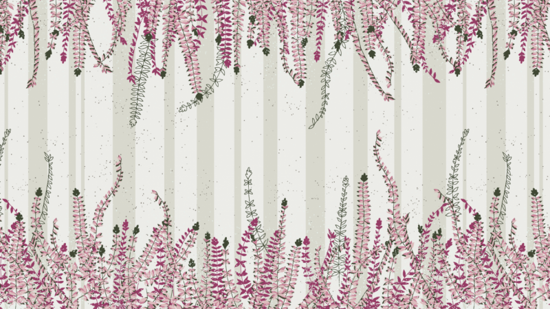 Winter Heather