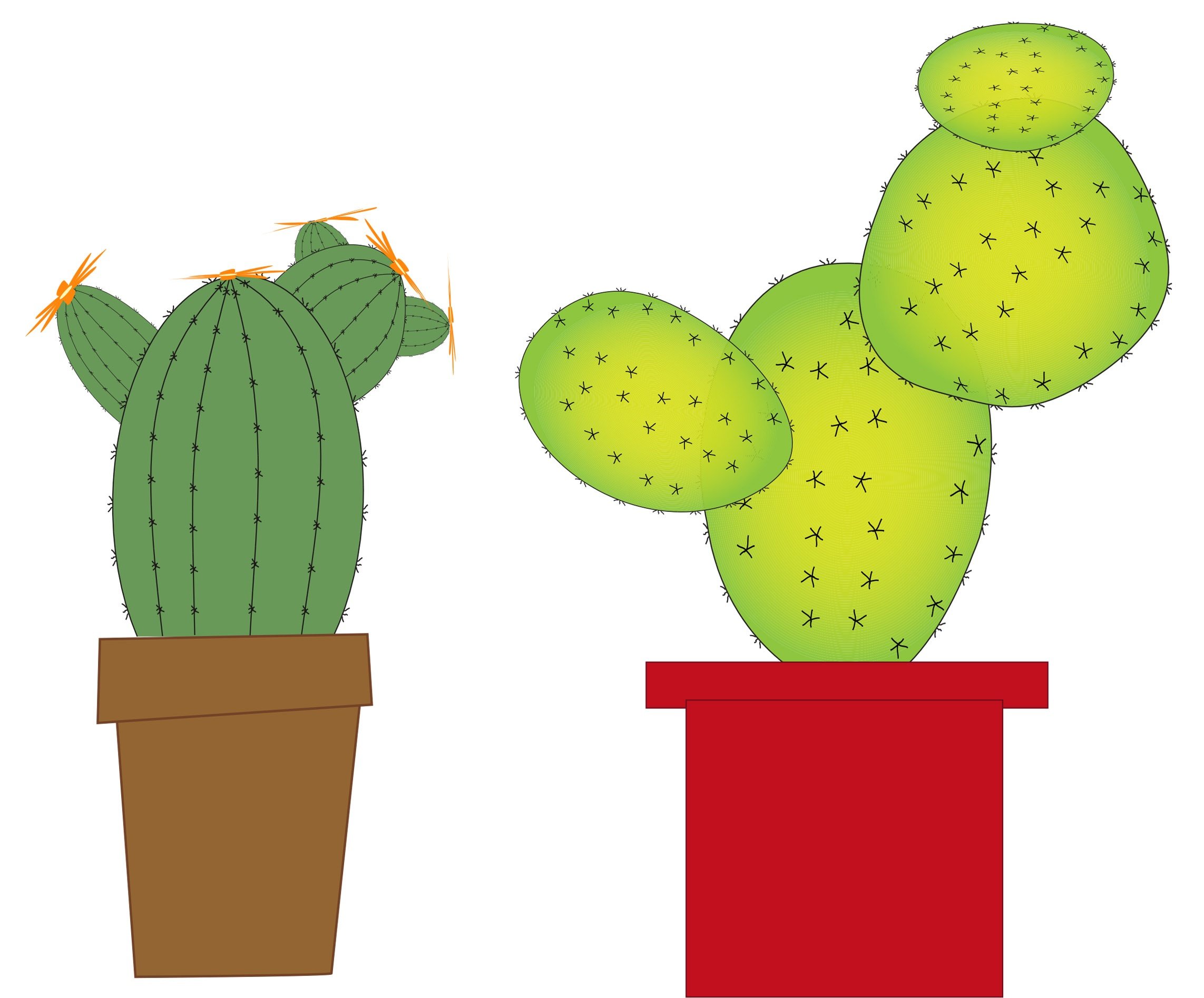 more-projects-from-class-img