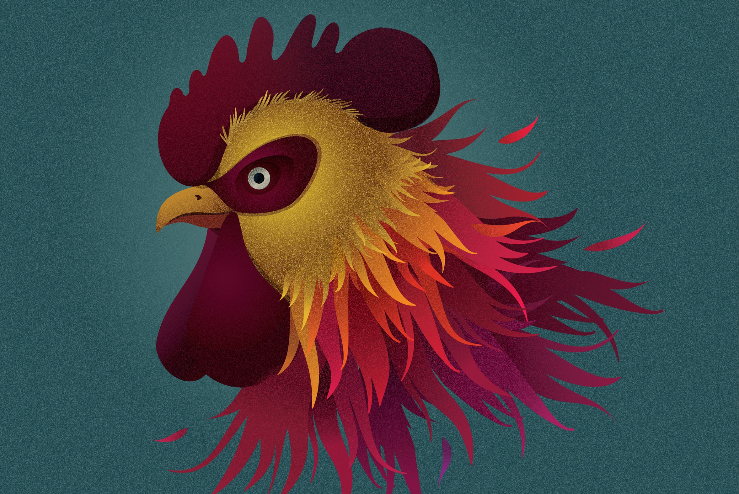 Rooster