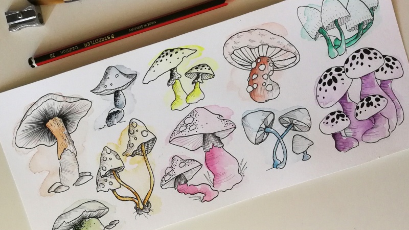 I am 100 mushrooms