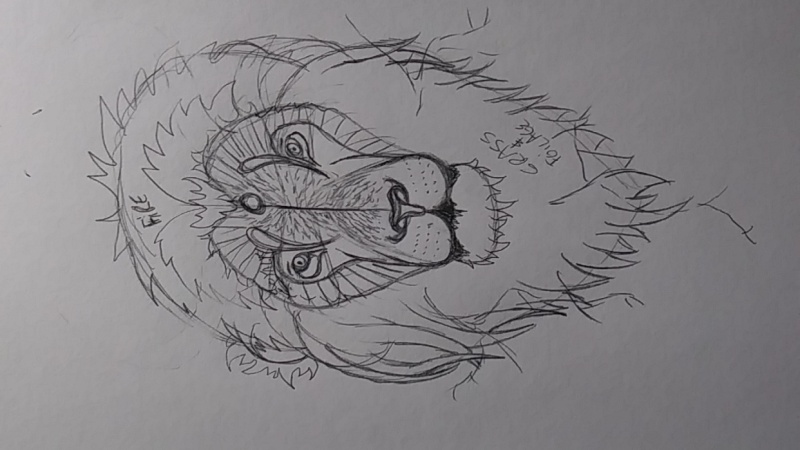 Stylized Lion Part 1