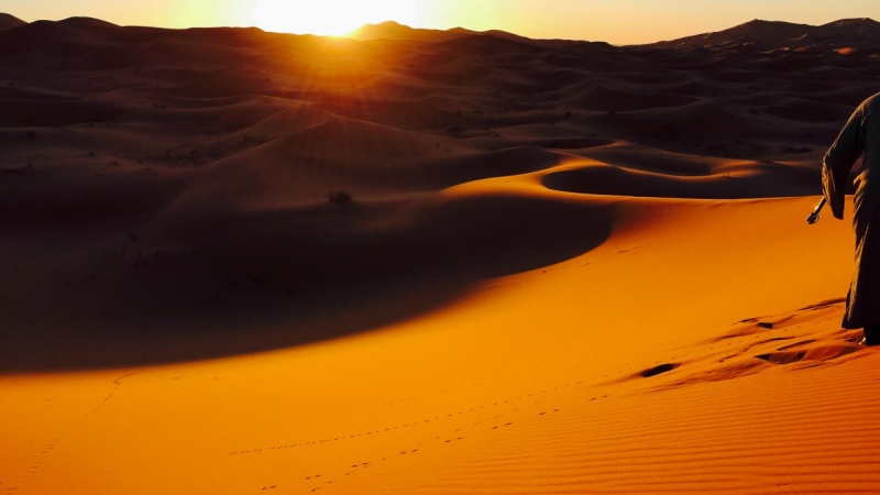 Desert Sunrise