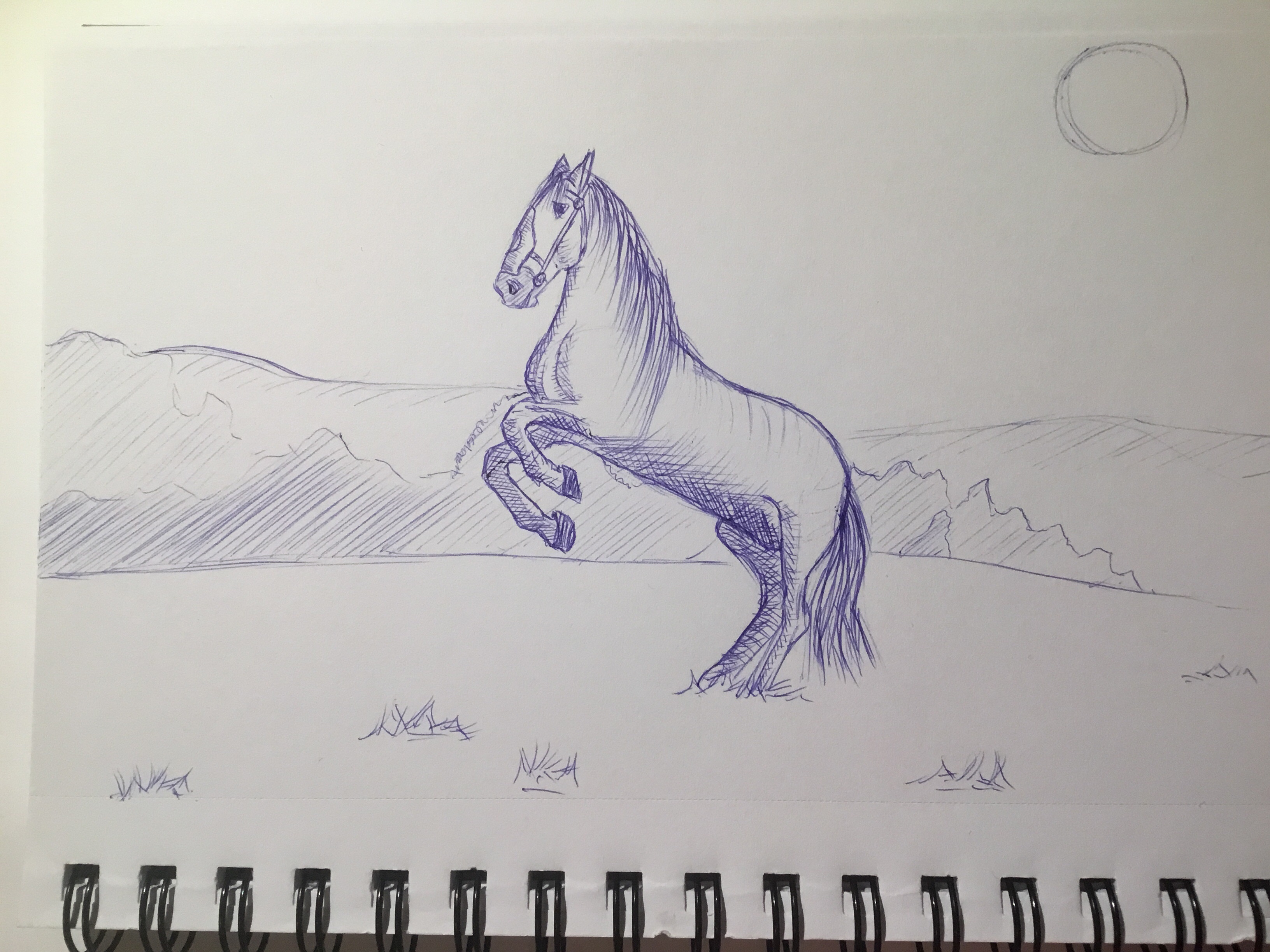 Horse doodle - student project