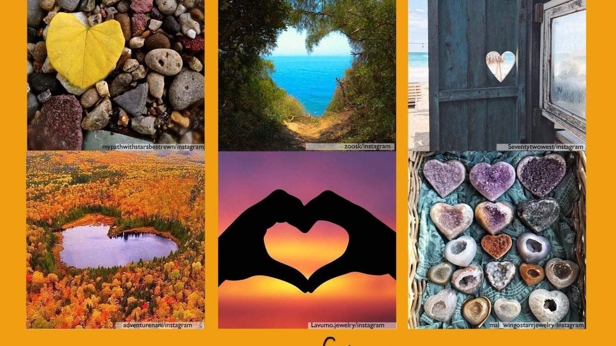 Hearts of Nature "Mood Board" - student project
