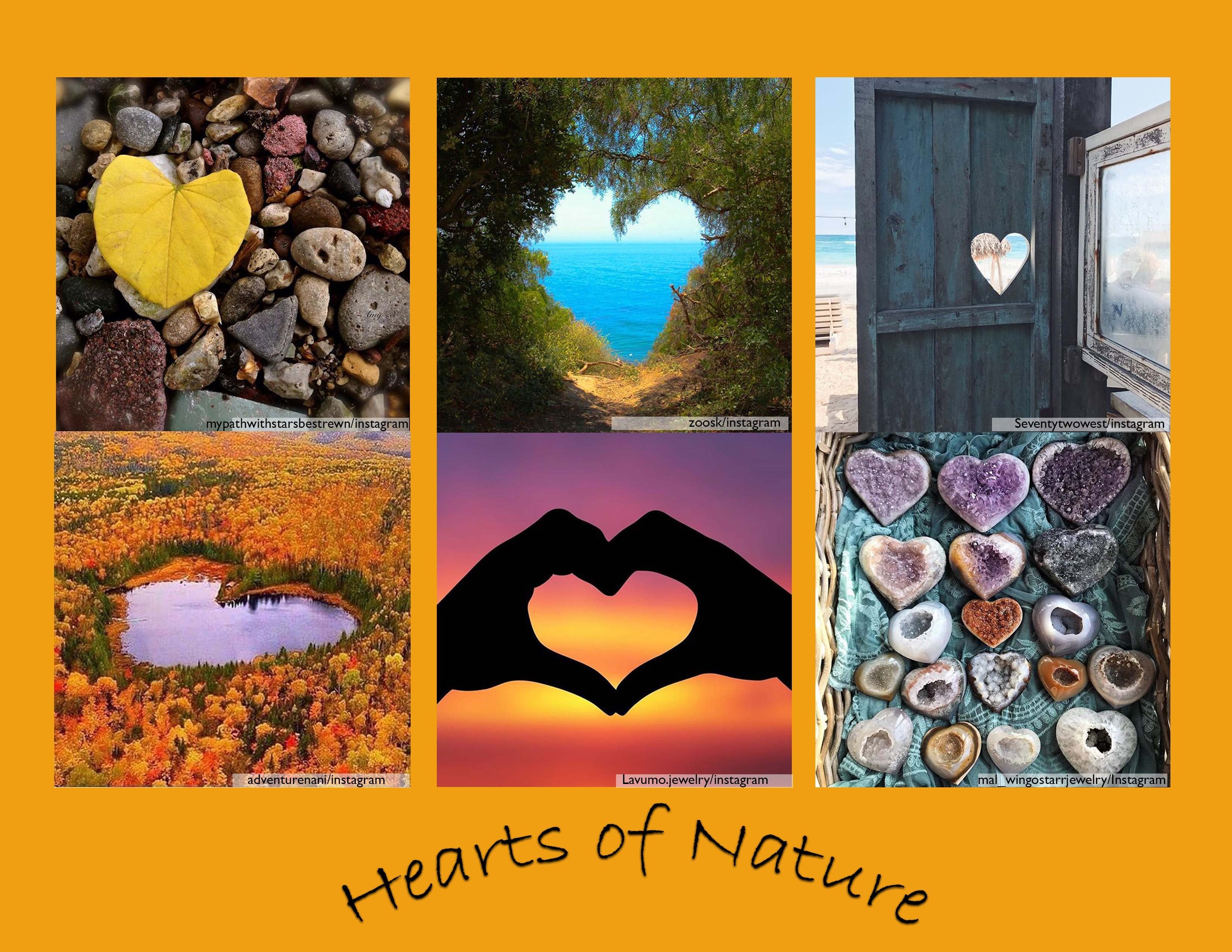 Hearts of Nature "Mood Board" - student project