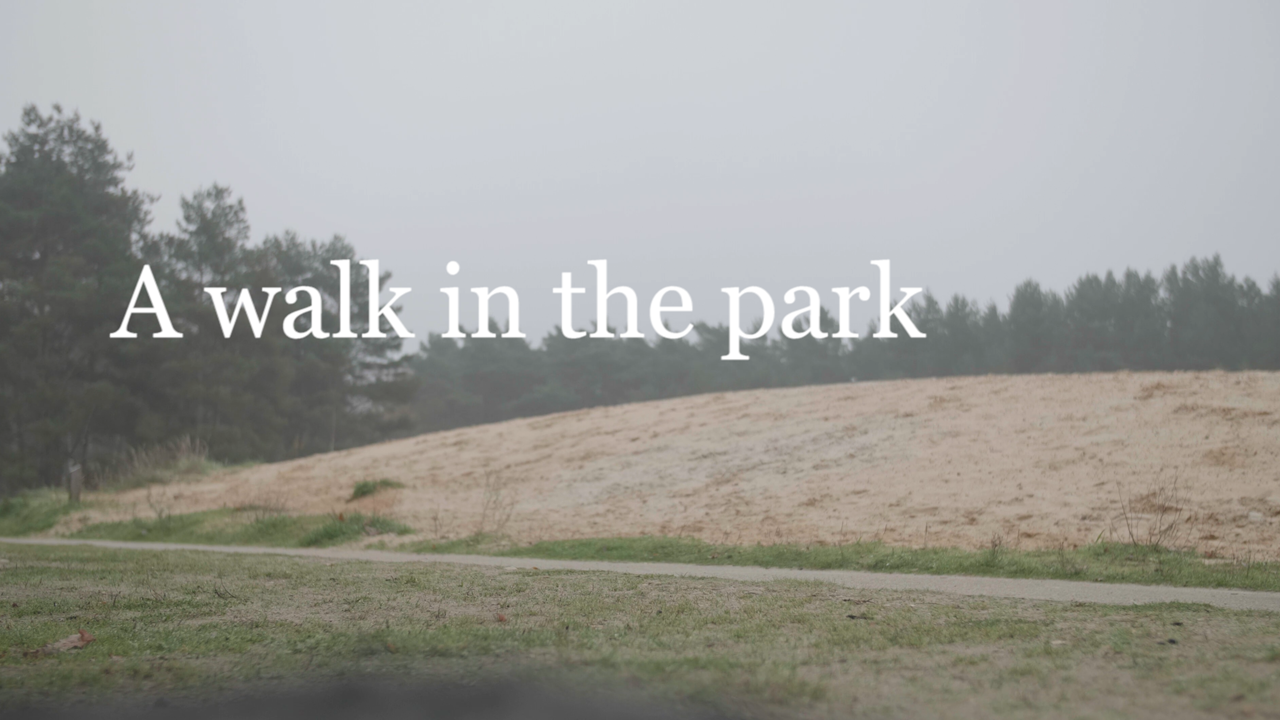 A walk in the park - student project