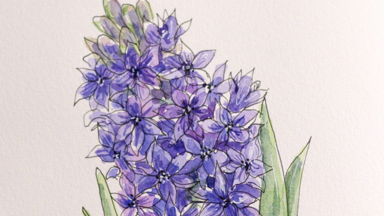 Ink and watercolor flowers - student project