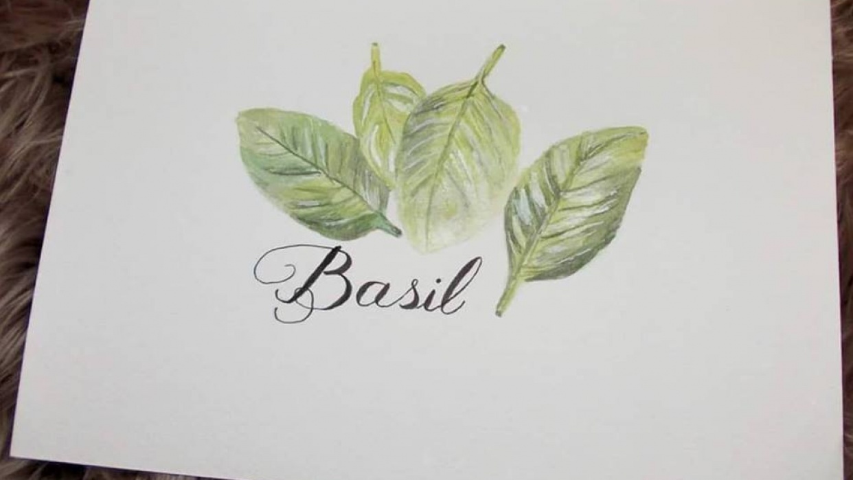 Botanical painting - student project