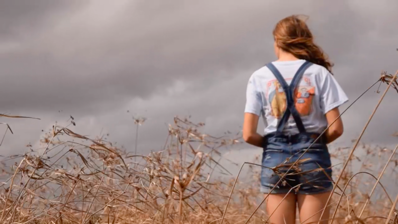 Wilted Grass Field Shoot