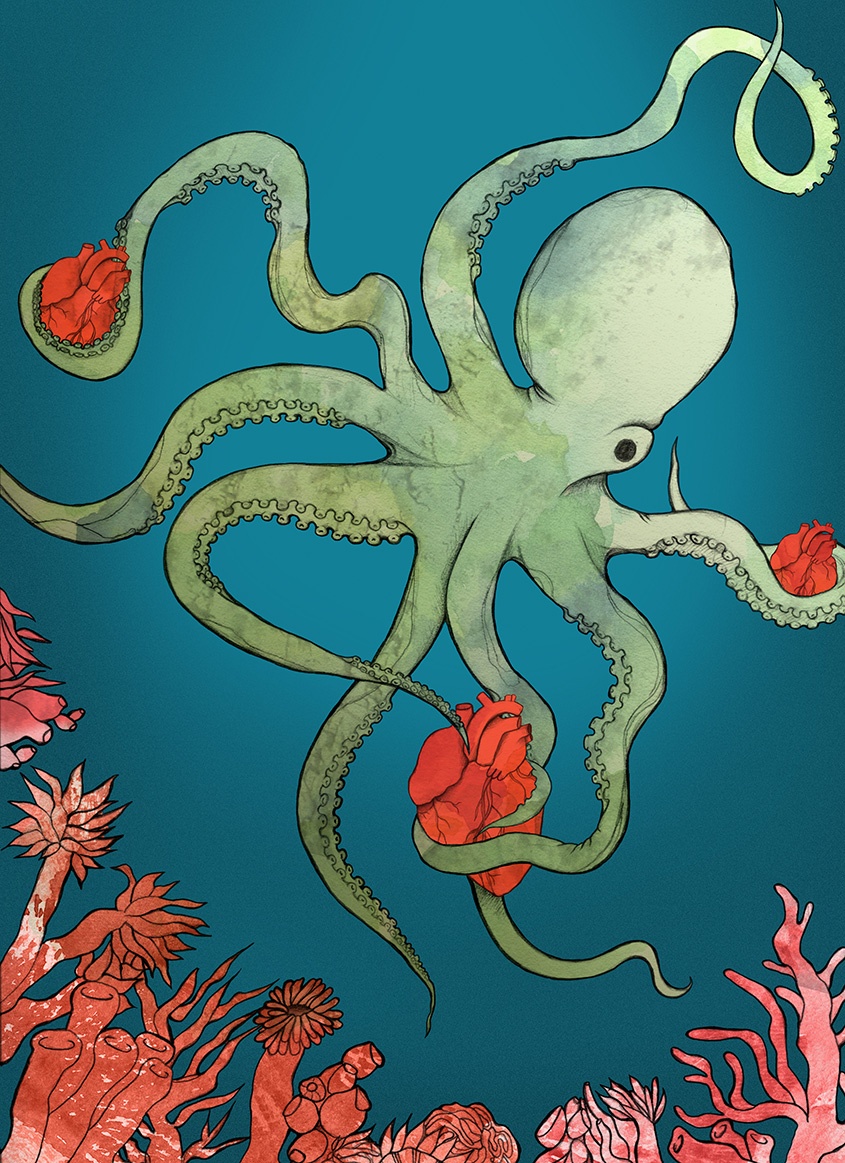 Mr. Octopus Skillshare Projects