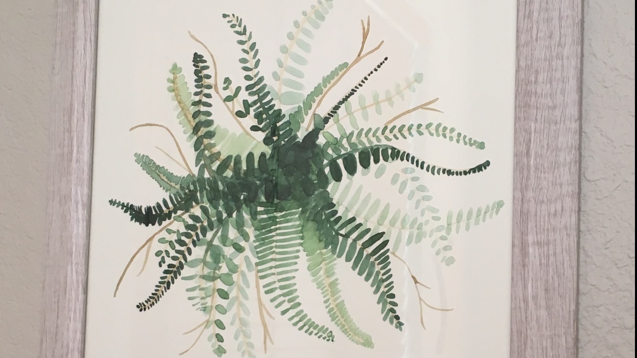 Boston Fern - I thought it was good enough for my wall! :) - student project