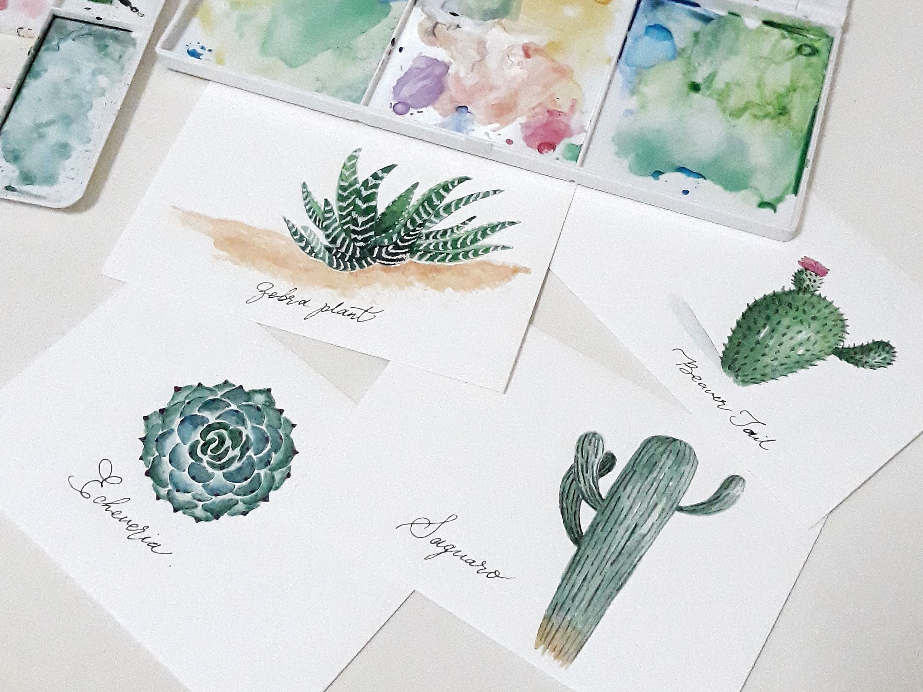 My Watercolor Cacti & Succulents