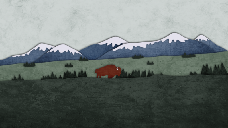 National Parks Landscape