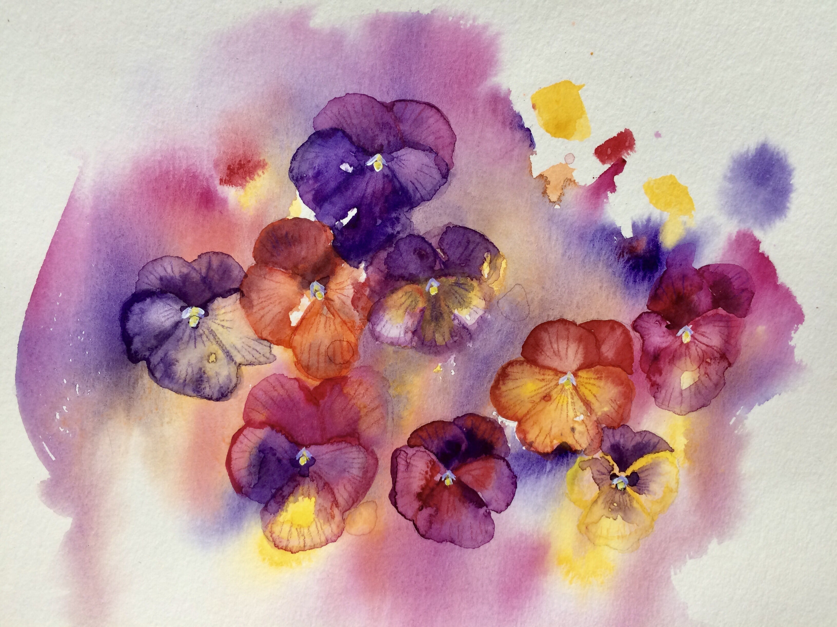 Watercolor pansies - student project