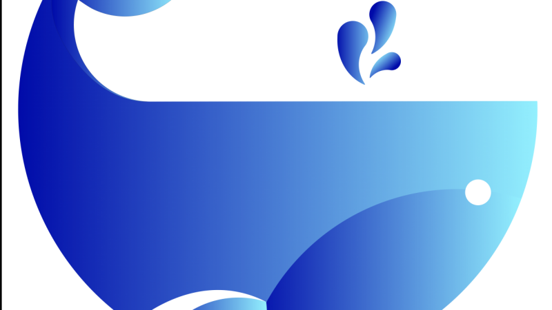 project card
