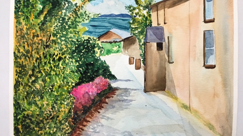 Seaside cottage
