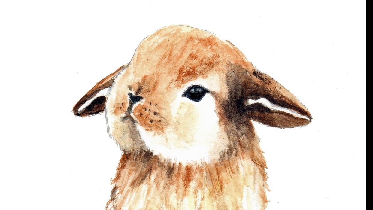 animal watercolor drawing