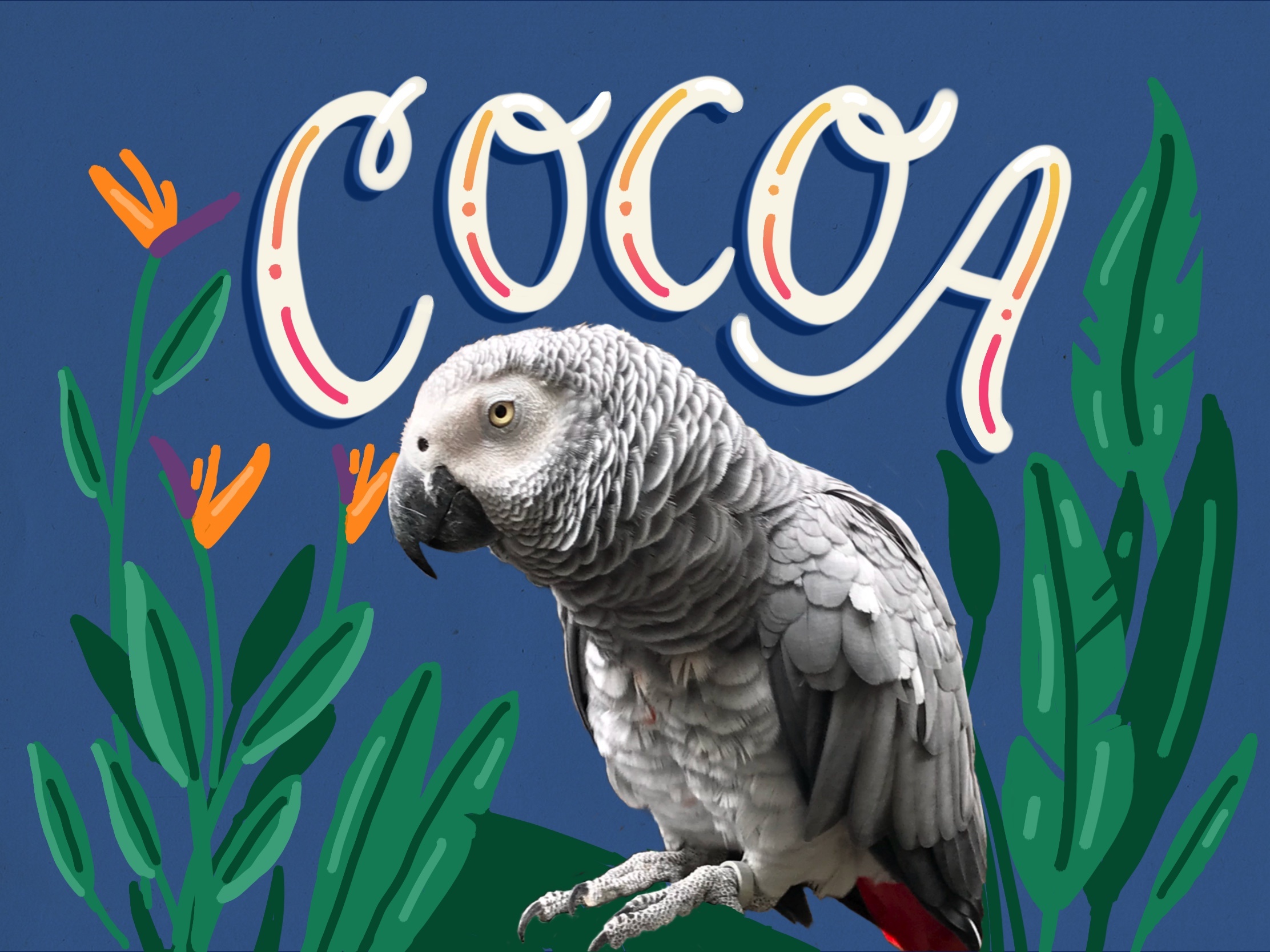 Cocoa the parrot v2 - student project