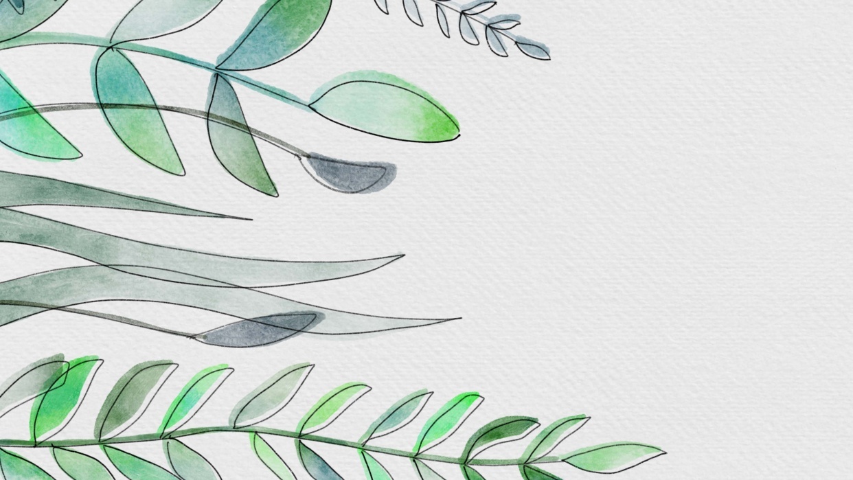 Watercolor Wreath - student project