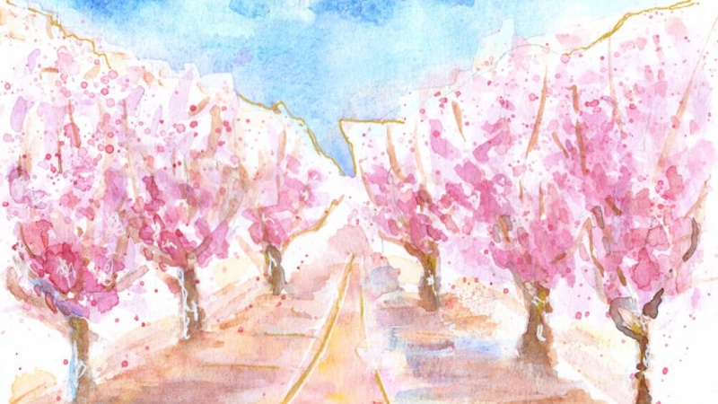 When cherry trees bloom in the city...