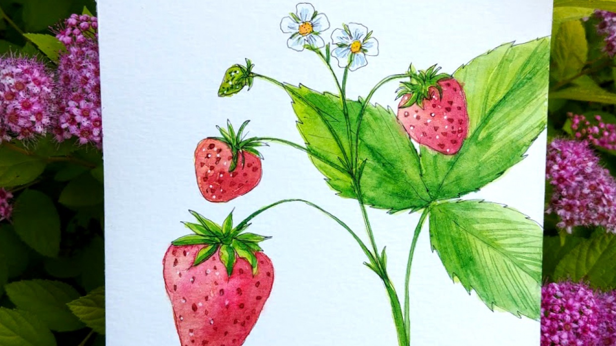 Strawberries :) - student project
