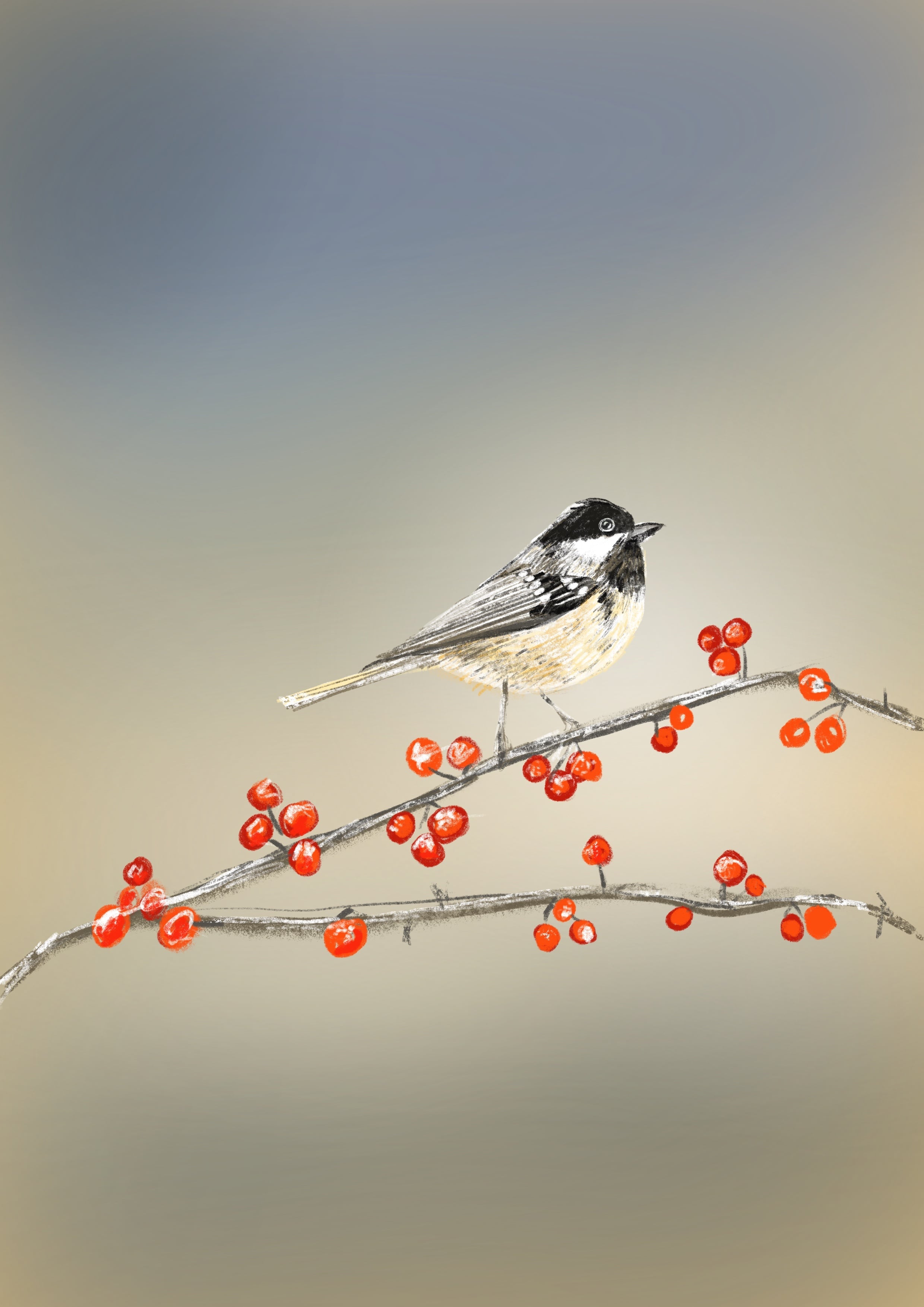 My bird - student project