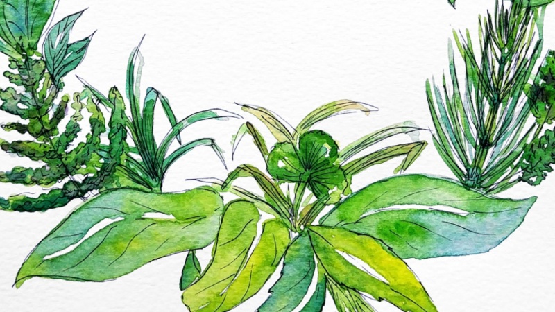 Green wreath