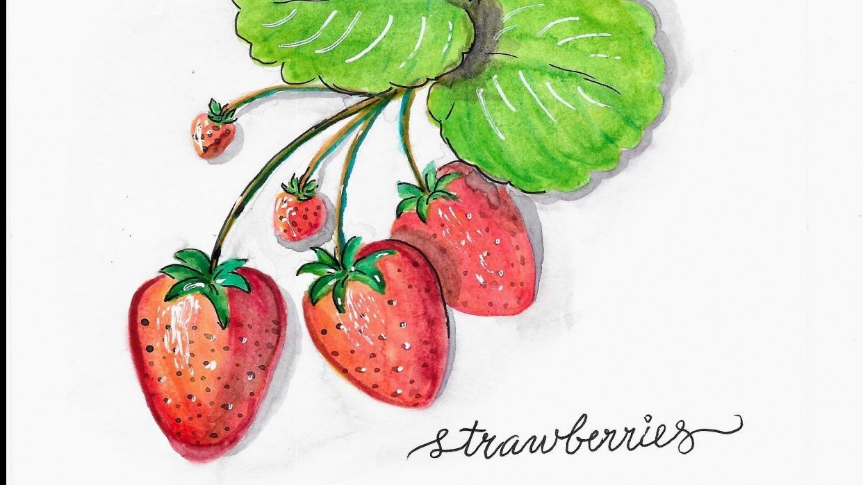 Strawberries - student project