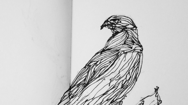 On my lil sketchbook i practiced.