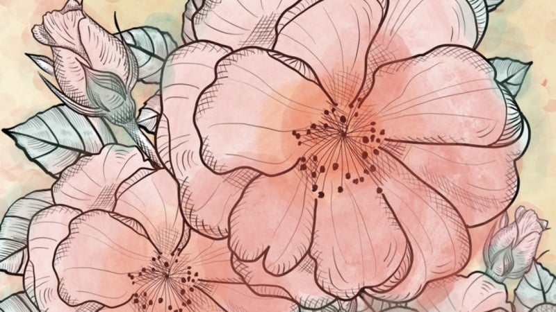 Botanical Rose Collage