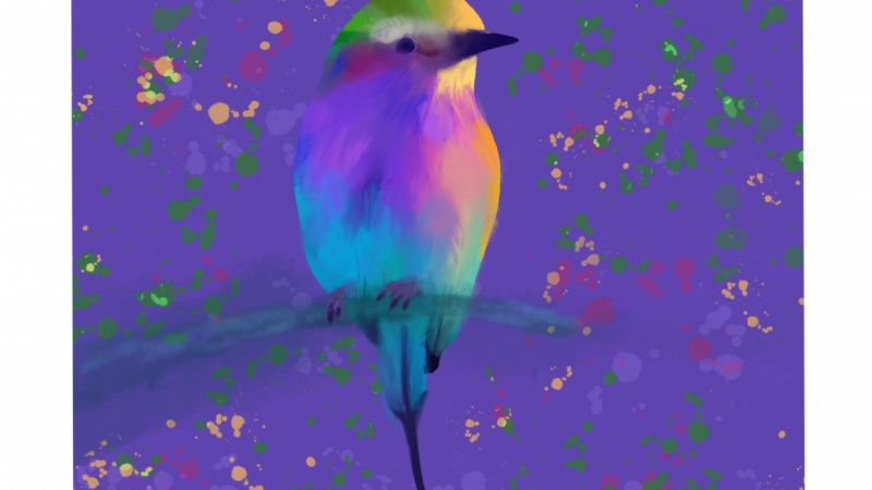 Tropical Bird