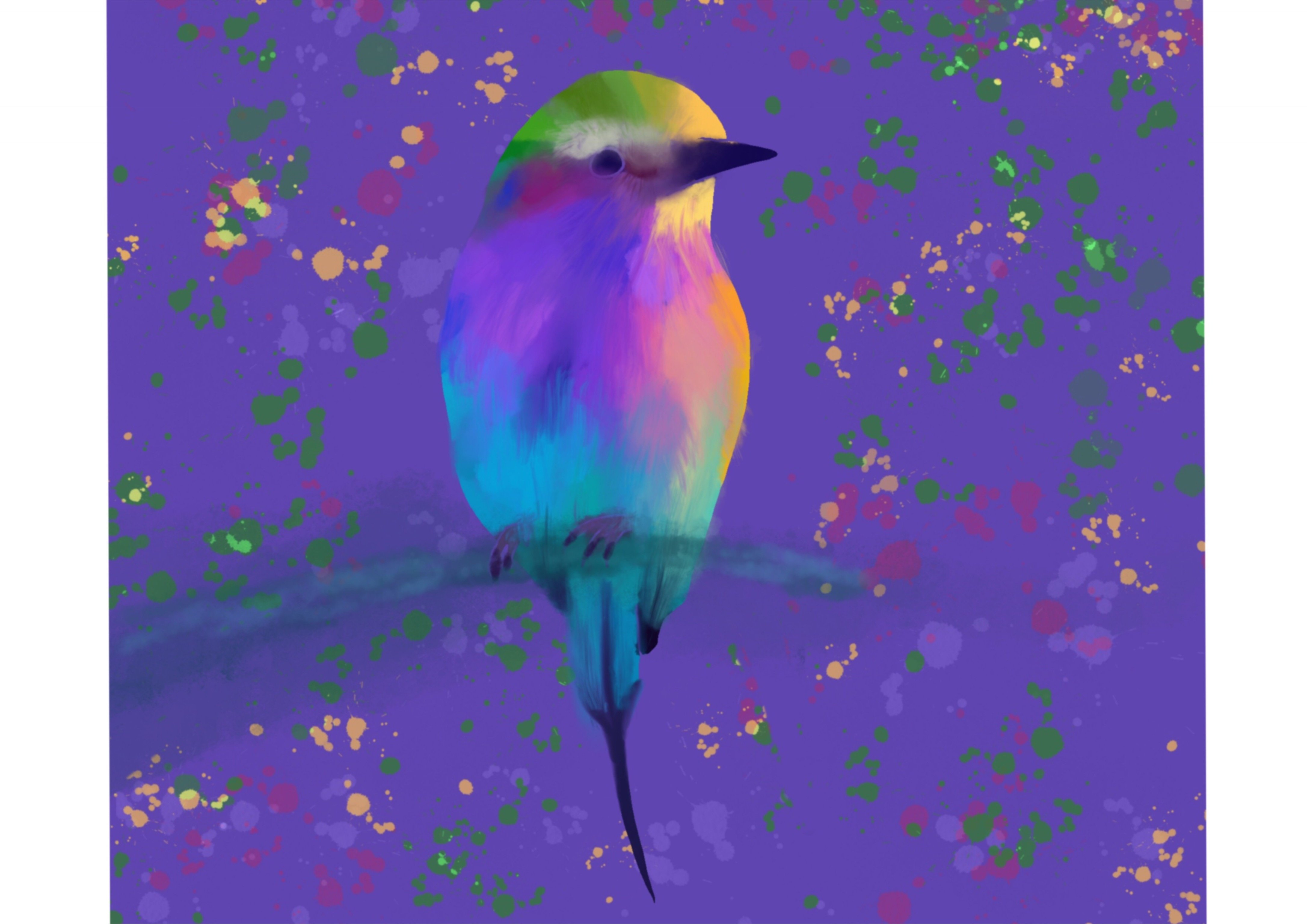 Tropical Bird - student project