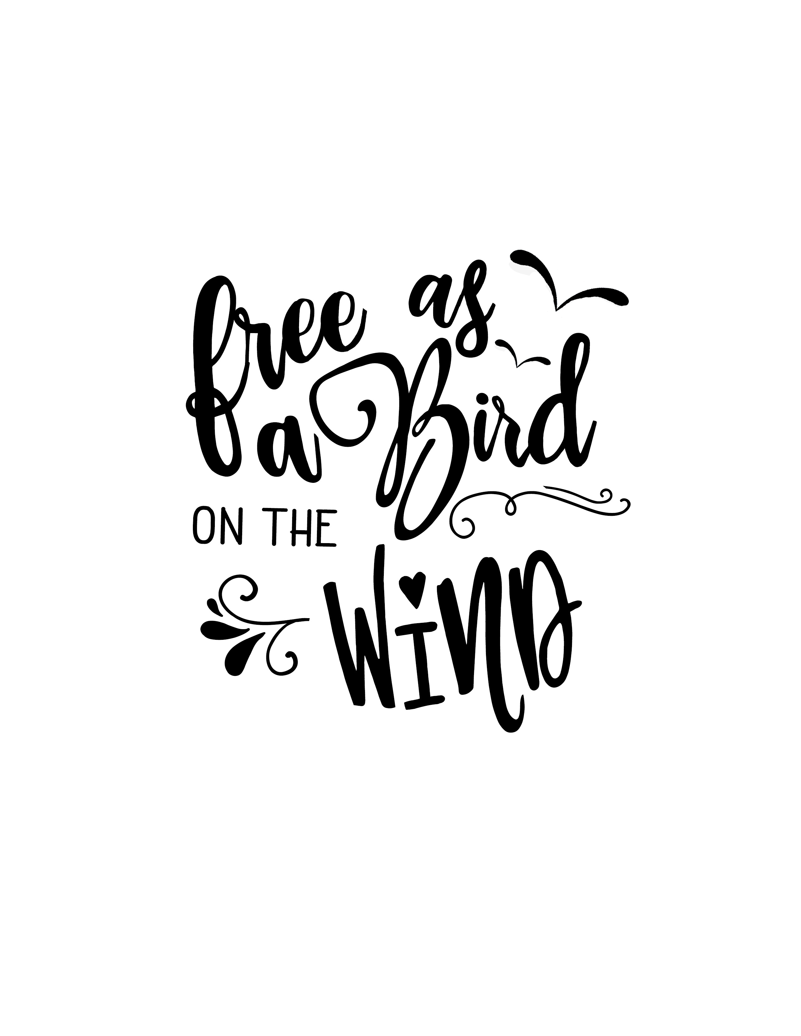 free as a bird - student project
