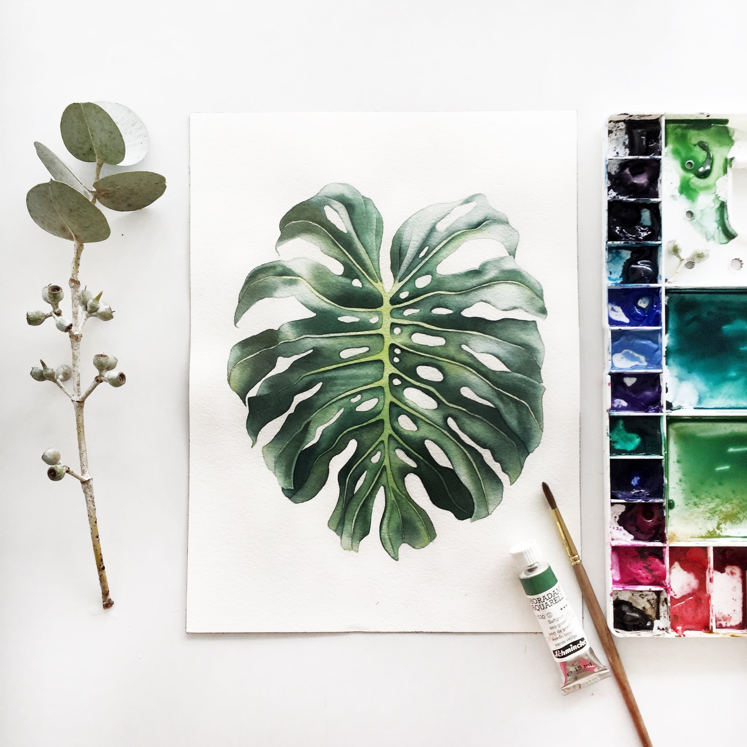 Monstera Leaf Illustration - student project