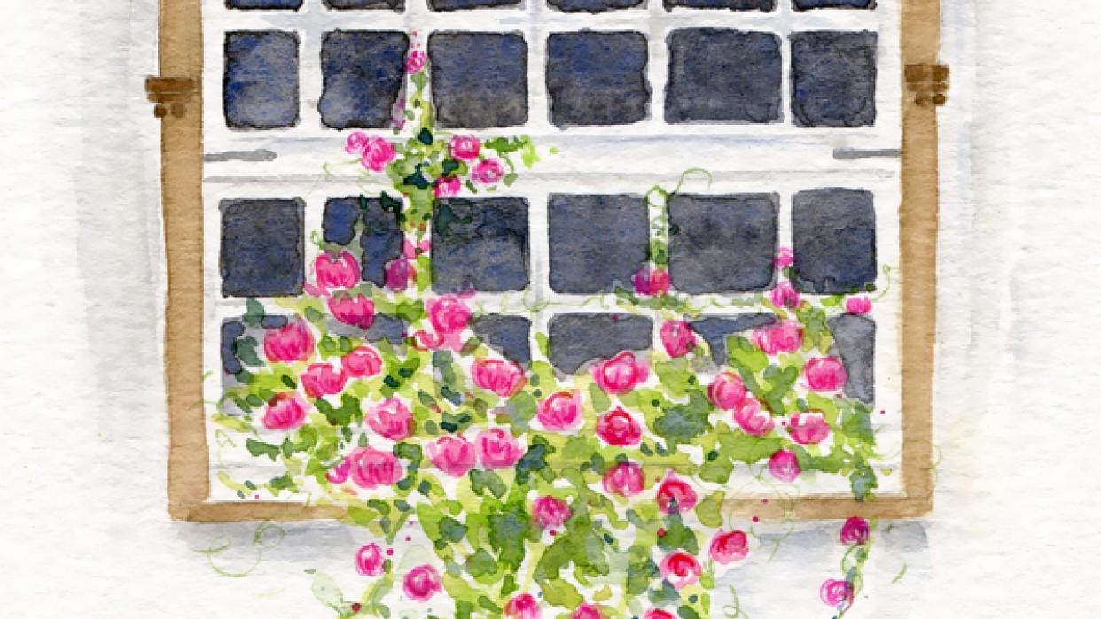 Summer Window - student project