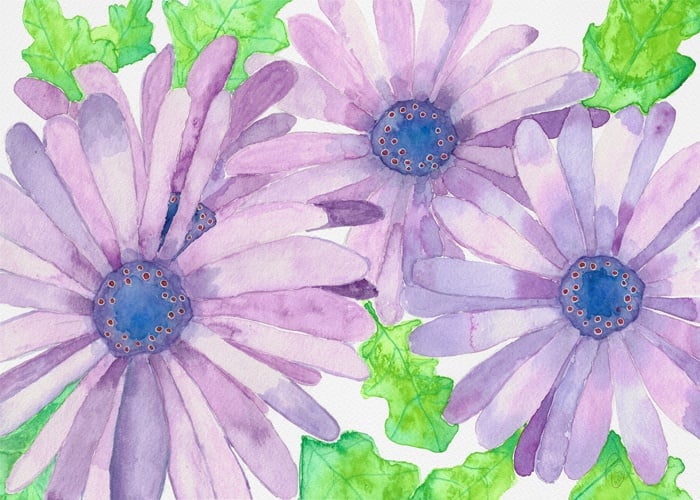 Purple Daisies - student project