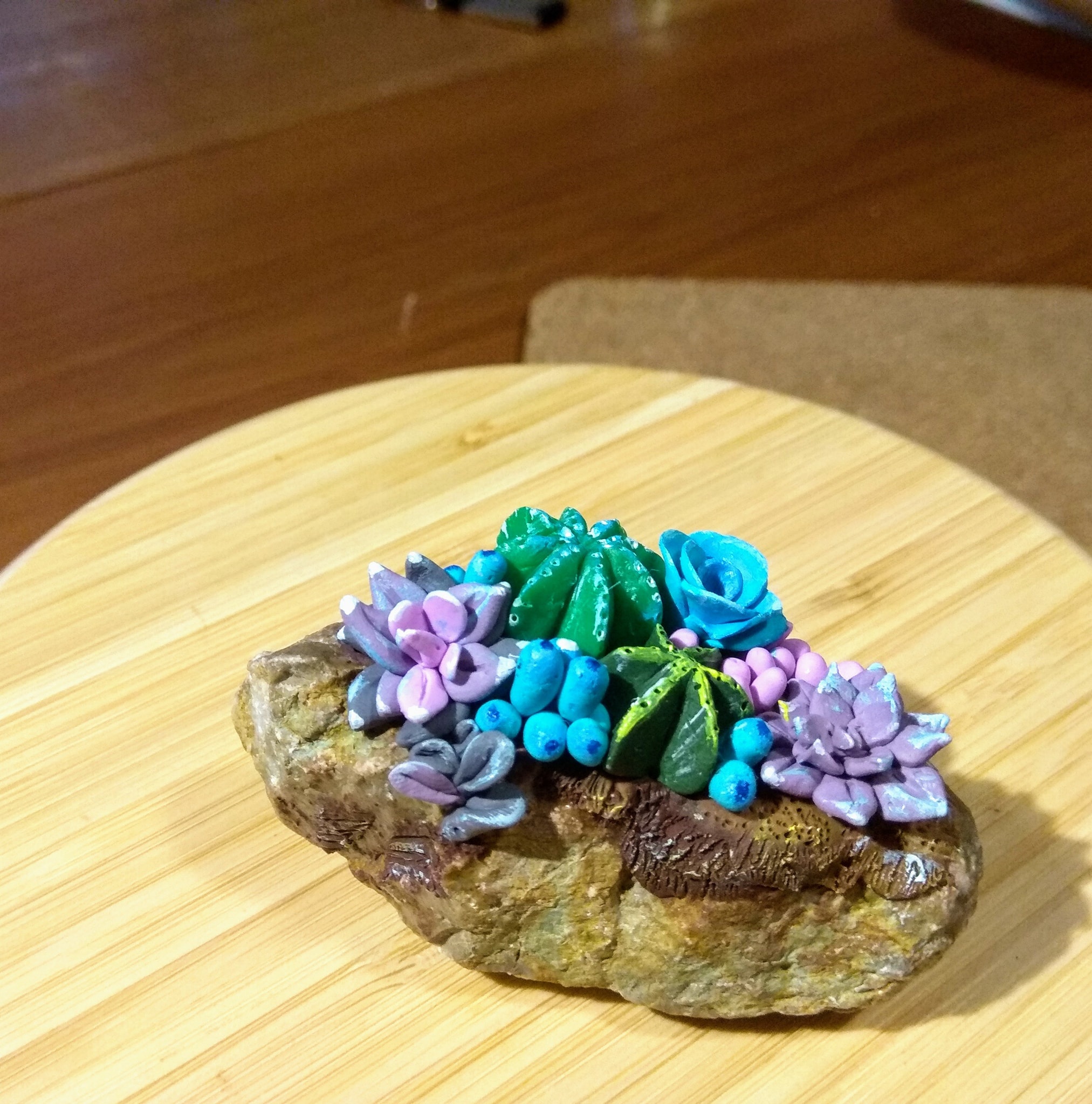 Succulents on Rock - student project