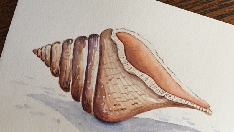 My SeaShell