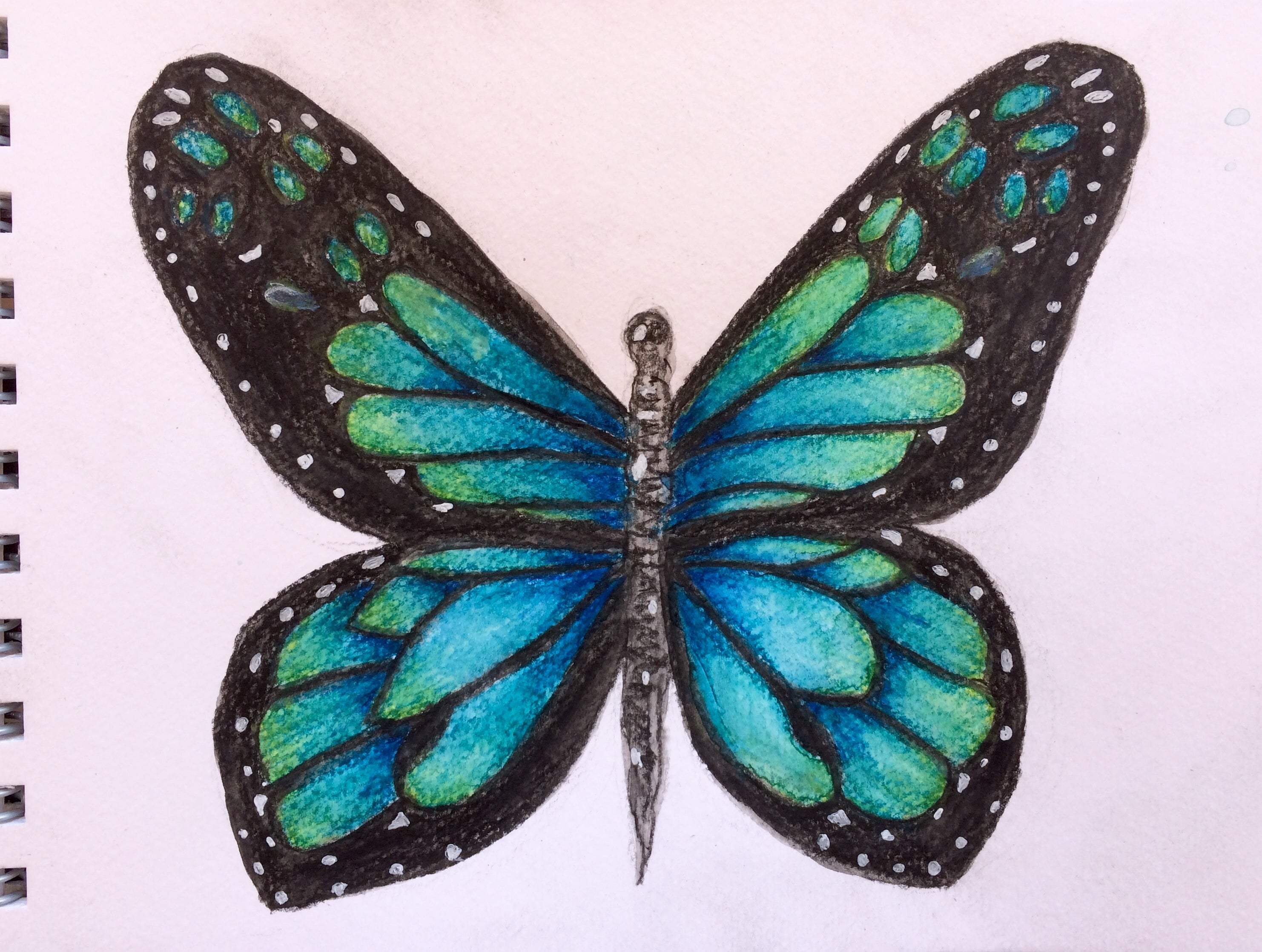 Blue butterfly - student project