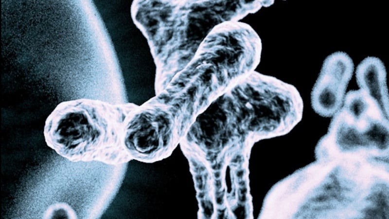 Microcosm