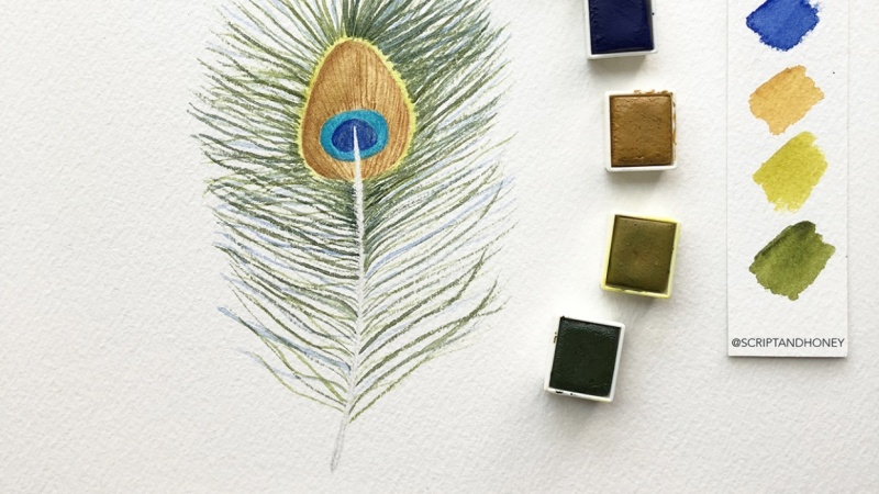 Watercolor Feathers