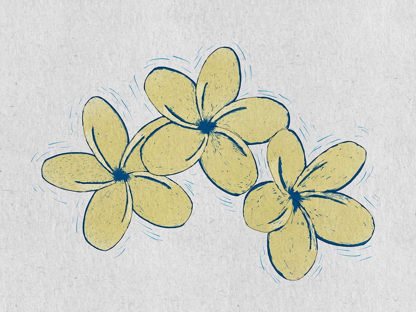 Plumeria woodcut - student project