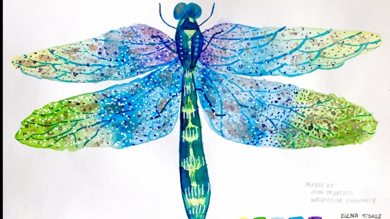 Watercolour Dragonfly