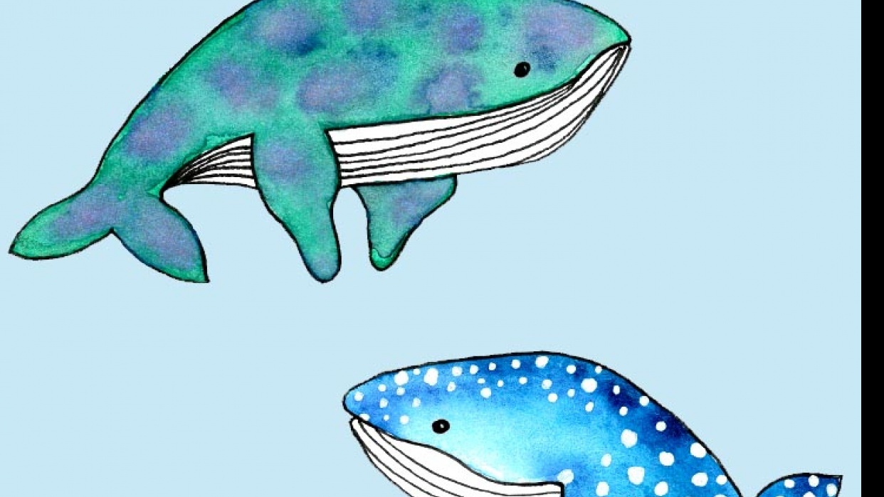 Whales - student project